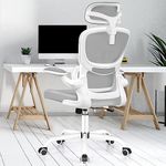 Razzor Ergonomic Office Chair, High