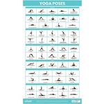 Vive Yoga Poster - Poses for Beginners and Experts - Mat Exercise Home Gym Workout Accessories Set- Double Sided Laminated Flow Chart Accessory - Instructional Guided Routine - for Women, Men