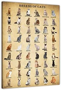 BASYEEO Cat Breeds Posters, Vintage Cats Knowledge Poster, Breeds of Cats, Type of Cats, Cat Decor for Cat Lovers, Cat Wall Art Unframed 12x18inch