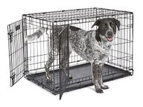 Dog Crates With Dividers