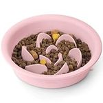 Coomazy Slow Feeder Cat Bowl Wed, F