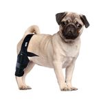 Compression Brace For Dogs