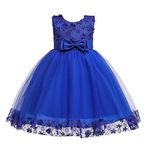 Weileenice Big/Little Girl Flower Lace A-line Party Dresses Blue Tulle Evening Pageant Swing Party Fancy Princess Bridesmaid Kids Wedding Gown 6 7 Recital Photo Shoot Prom Christmas Dress Tutu Holiday