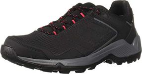 adidas outdoor Women's Terrex Entry Hiker GTX¿