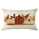 Ogiselestyle Watercolor Fall Pumpkin Throw Pillow Cover 12x20 Inch, Seasonal Autumn Pumpkin Thanksgiving Harvest Decoration for Home Sofa Couch