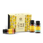 Florona Happy Premium Quality Oil Gift Set of 3-1 fl oz (10 ml x 3) for Diffuser Aromatherapy - Good Mood, Citrus Blast, Blissful Magic