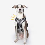 Bark Baskets Moo-ve Over Reflective Dog Harness – No-Pull, Adjustable & Breathable with High-Visibility Night Strips (Medium)
