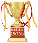 Aark India Trophy Gift for Son Birthday/Achivement Gift Trophies (PC002333)