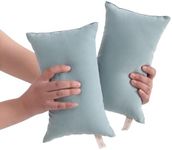 BEDSUM 2 Pack Tiny Pillows, 11"x7" Microfiber Mini Pillows for Toddler, Travel, Pets, Soft and Machine Washable Small Pillows for Neck, Wrist, and Knee Comfort, Sea Green