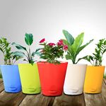 TrustBasket Titan Self Watering Pot 6 inches (Set of 5) | Window Plant Pot for Home Decor