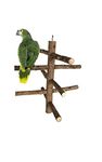 KSK Paw Grinding Bird Perch Natural Wood Stand Cage Hanging Wooden Activity Cage Toy for Budgies Canaries Cockatiels Cockatoo Parakeet Small Medium Parrots