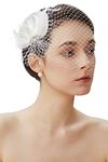 BABEYOND Fascinator Hat Veil Feather Fascinator Hair Clip Tea Party Pillbox Derby Hat Fascinator Bridal Wedding Veil (White)