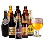 Belgian Trappist & Abbey Mixed Case with Glass (8 Pack) - Belgian Beer Craft Beer Gift Set Premium Selection, Gifts For Him, For Her, Christmas, Birthday's, Father's Day