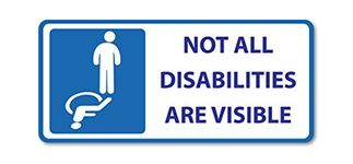 Landing Designs NOT ALL DISABILITIES ARE VISIBLE STICKERS