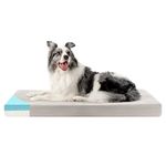 Orthopedic Foam Dog Beds