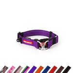 EZYDOG Double Up Dog Collar | Dog Collar Small, Medium, Large Dogs, Reflective Dog Collar, Supreme Comfort, Soft Neoprene Material, Strong Nylon Webbing (Medium, Purple)