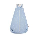 Ergobaby Classic Sleep Bag, Baby Sleeping Bag with Seatbelt Slot, 2.5 TOG, for Newborn (0-6 Months), Paper Planes