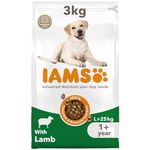 IAMS Complete Dry Dog Food for Adult 1+ Large Breeds with Lamb 3 kg