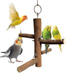 Congo® 4 Perch Hanging Toy Stand for Parakeet, Budgies, Lovebirds, Cockatiels, Conure and Other Birds