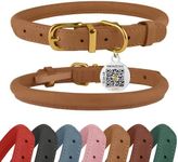 BRONZEDOG Rolled Leather Dog Collar