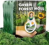 DUSPRO Green Moss for Crafts Decora