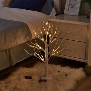 Eambrite 2ft Birch Twig Tree Lights – LED Decorative Tabletop