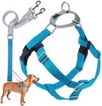 2 Hounds Design Freedom No Pull Dog Harness | Adjustable Gentle Comfortable Control for Easy Dog Walking |for Small Medium and Large Dogs | Made in USA | Leash Included | 1" MD Turquoise