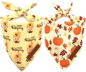 Realeaf Thanksgiving Dog Bandanas 2