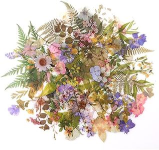 RisyPisy 160 Piezas Naturales Pegatinas, Florales y Plantas Stickers, Varias Pegatinas de Formas Especiales para Manualidades, Bullet Journal, Cuadernos, Portátiles, Teléfonos Móviles, Calendarios