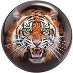 Brunswick Tiger Viz-A-Ball Bowling 