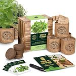 Indoor Herb Garden Starter Kit - He