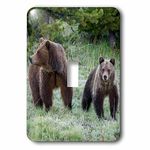 3dRose lsp_279825_1 Grizzly Bear Sow with Cub Toggle Switch