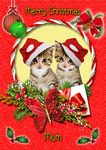 Cat/Kitten Christmas Card Red 'Merry Christmas Mum' - Special Animal Xmas Card for Her Kids