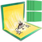 Fly Insect Pest Trap Board - Pest Fly Catchers in Indoor Outdoor Multiple Insects (10 Pcs)