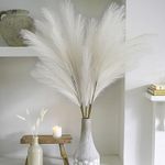 Wttisel 38" 10 Stems White Pampas G