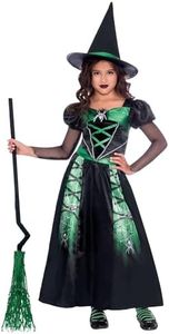 amscan Girl's Spider Witch Costume, Size 4-6 Years