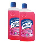 Lizol 625 ml (Pack of 2) - Floral, Disinfectant Surface & Floor Cleaner Liquid | Suitable for All Floor Cleaner Mops | Kills 99.9% Germs| India's #1 Floor Cleaner