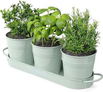 Herb Garden Planter Indoor Kit with Tray, Kitchen WindowSill Metal Plant Pots Countertop Gardening Planter herb pots for Outdoor or Indoor Plants (Blue)