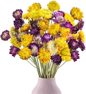 Phliofd 40PCS Dried Daisy Mums Flowers, 16.9in Dried Daisies Chrysanthemum Gerbera Dried Orange Yellow Flowers Arrangements for Vase Home Farmhouse Wedding DIY Table Centerpiece Décor