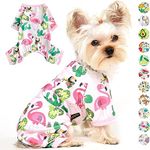 KUTKUT Small Dog Romper, Dog Pjs Spring Doggie Onesies Summer Pet Jammies Dog Clothes for Kitten Puppies Small Dogs Girl, Cat Apparel Outfit for Yorkii, Maltese (Size: M, Chest: 40cm, Length: 30cm)