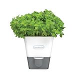 Cole & Mason Self-Watering Indoor Herb Garden Planter - Pot