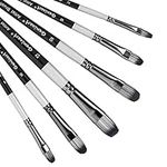 Filbert Paint Brushes Set, 6 Pcs Artist Paintbrushes for Acrylic Oil Watercolor Gouache Painting, Premium Nylon Hair Art Paint Brush for Beginners and Professionals