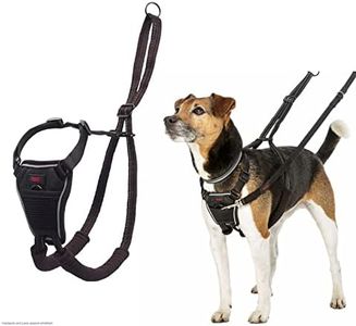 HALTI No Pull Anti-Zug Geschirr, Größe Klein - Verhindert, dass Ihr Hund an der Leine zieht, Gepolsterter Brust- und Beingurt, Reflektierendes Gurtmaterial, Einfache Anpassung und Benutzung