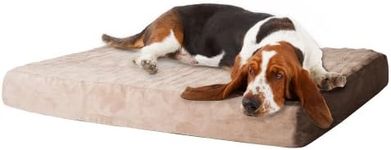 PAW Memory Foam Dog Bed with Remova