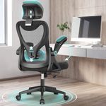 Lumbar Office Chairs