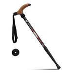 Leki Walking Stick