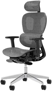 PatioMage Ergonomic Mesh Office Chair with 3D Adjustable Armrest,High Back Desk Computer Chair Ergo3d Ergonomic Office Chair with Wheels for Home & Office Darkgrey