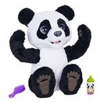 Fur Real Friends Plum, the Curious Panda Cub Interactive Plush Toy, Ages 4 and Up, Black