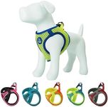 DOCO Dog Harness │ Athletica Puppy Harness for Small Dogs │ Heavy Duty No Choke Vest, Lightweight Reflective (Dogs Under 30 lbs) - Lime, X-Small