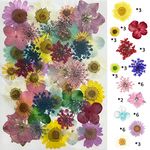 YellowCult Natural Real Dried & Pressed Flowers for Art Craft - Mixed, Multicolor for Soap, Candle, Scrapbooking, DIY, Resin Jewelry, Pendant - [Luxury Mixed Color 18x13cm Sheets]